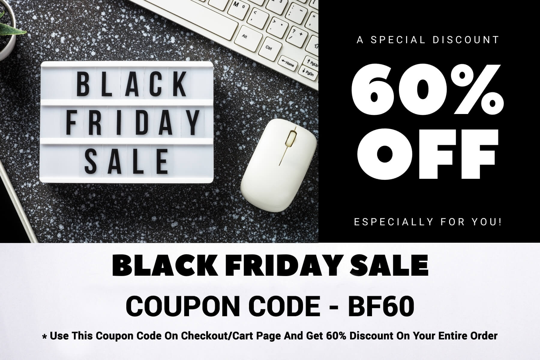 ExamsLead BlackFriday Sale